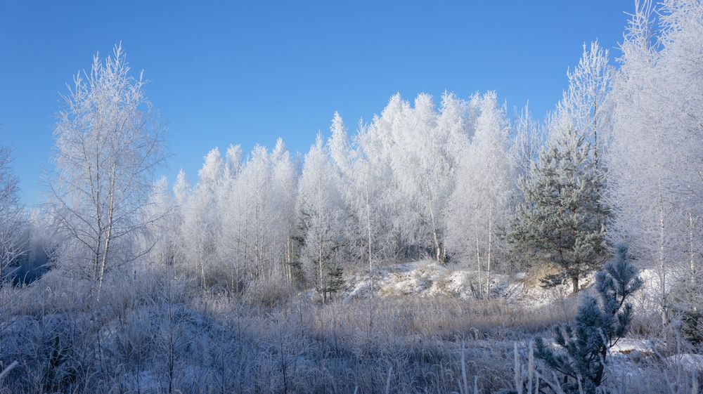 Photograph by Denis Romanov