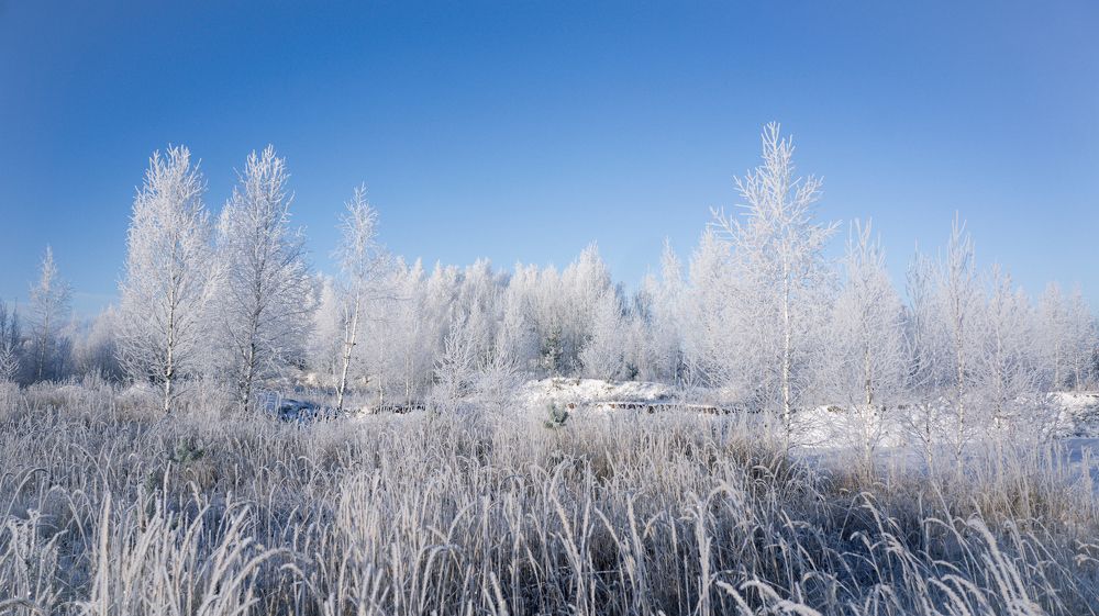 Photograph by Denis Romanov