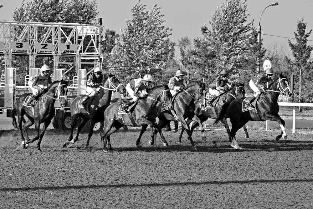 Photograph by Игорь Пшеничников