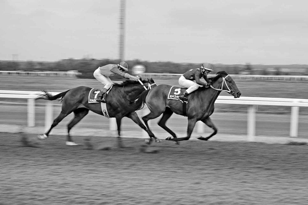 Photograph by Игорь Пшеничников