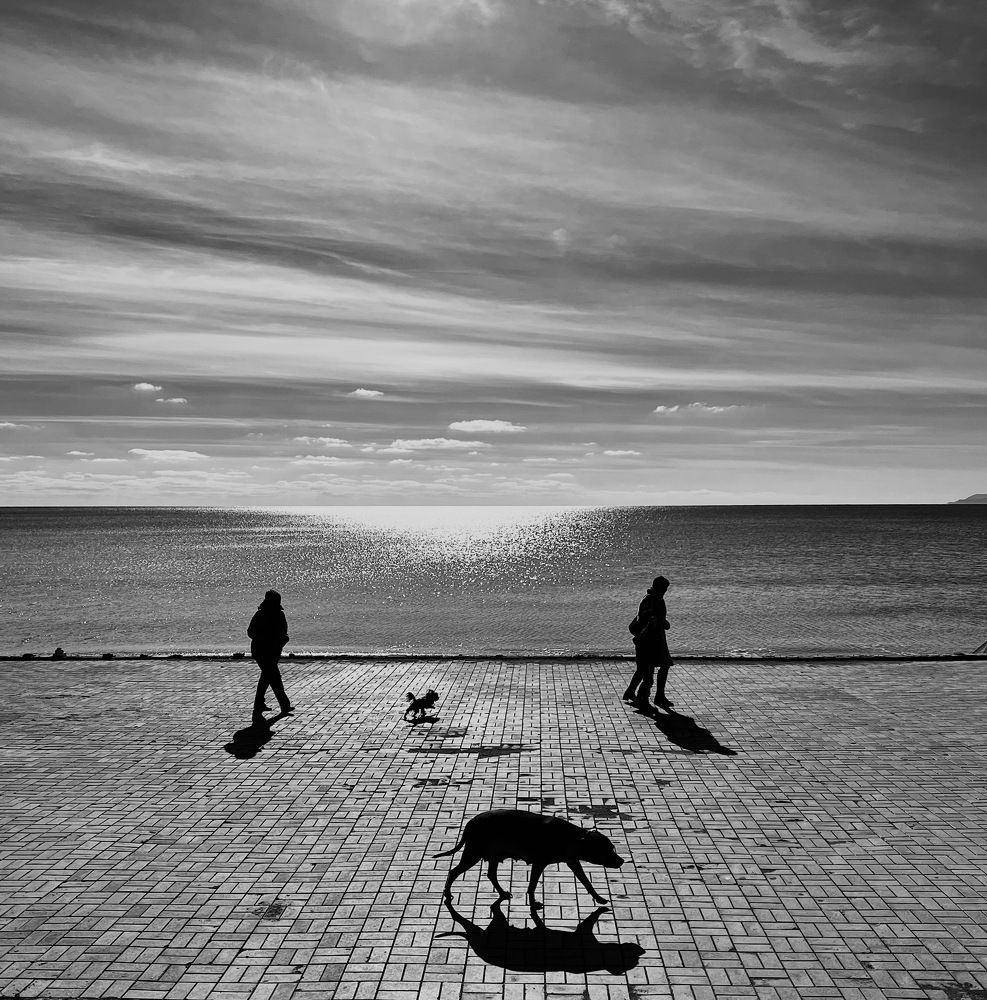 Photograph by Ольга Петухова