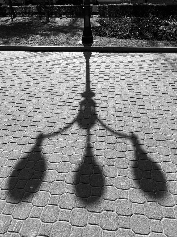 Photograph by Ольга Петухова