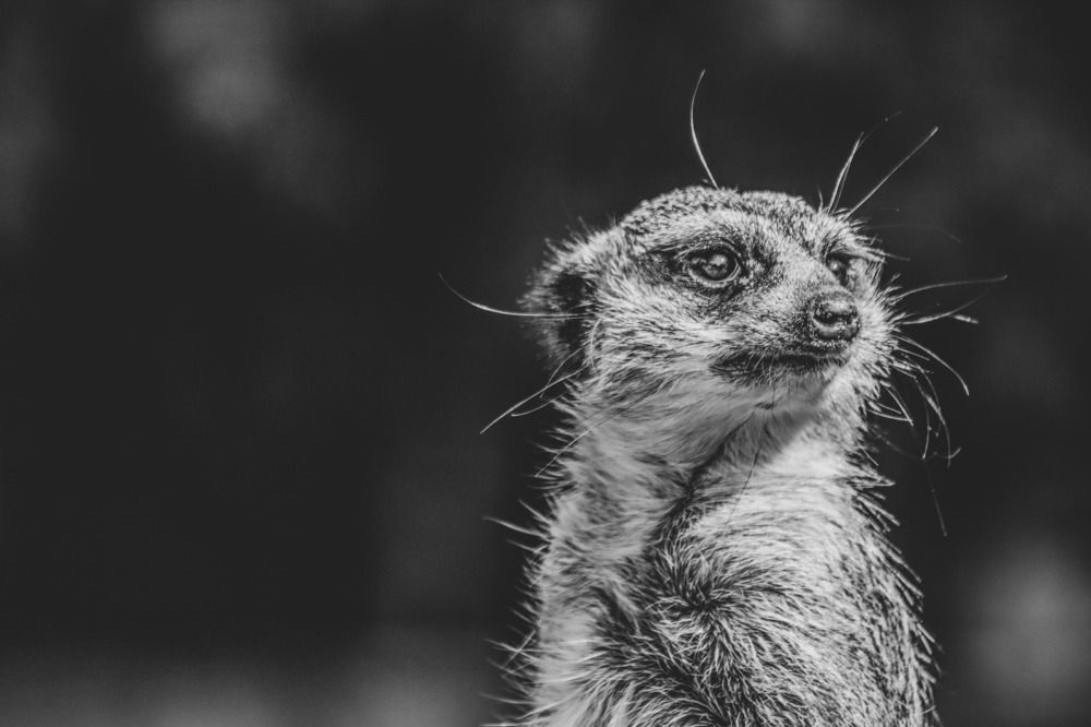 Photograph by Anna Lisovskaia