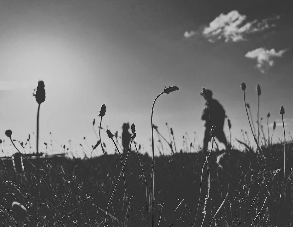 Photograph by Ольга Петухова