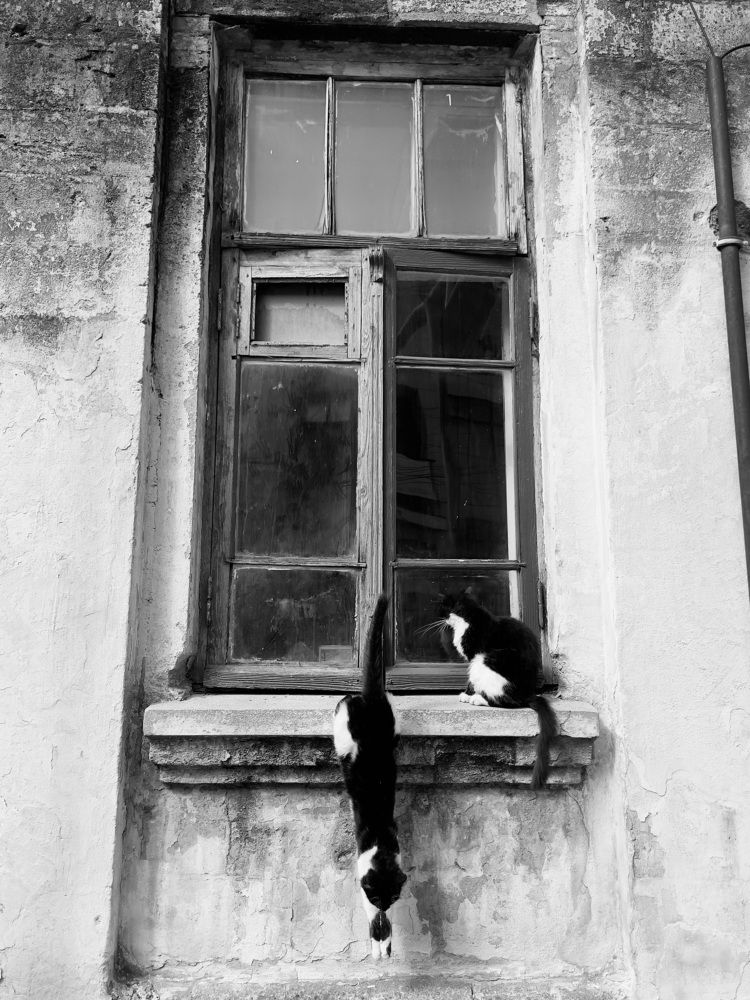 Photograph by Ольга Петухова