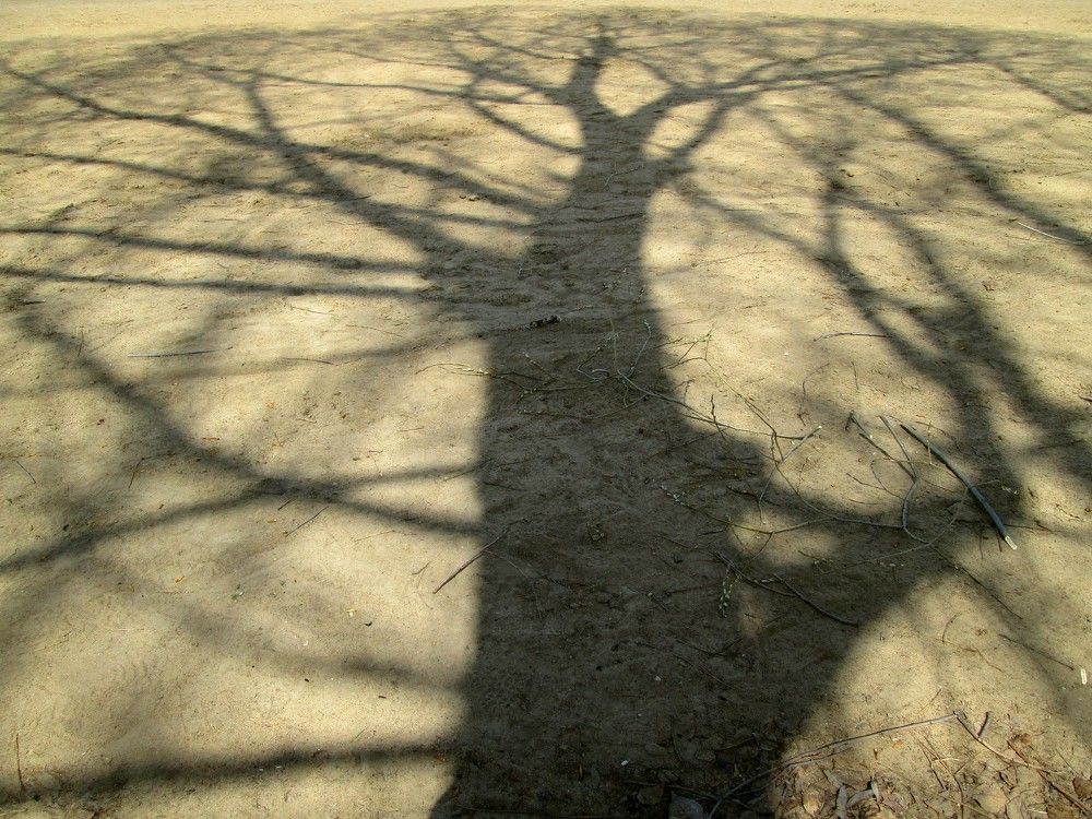 Photograph by Наталья Колмакова