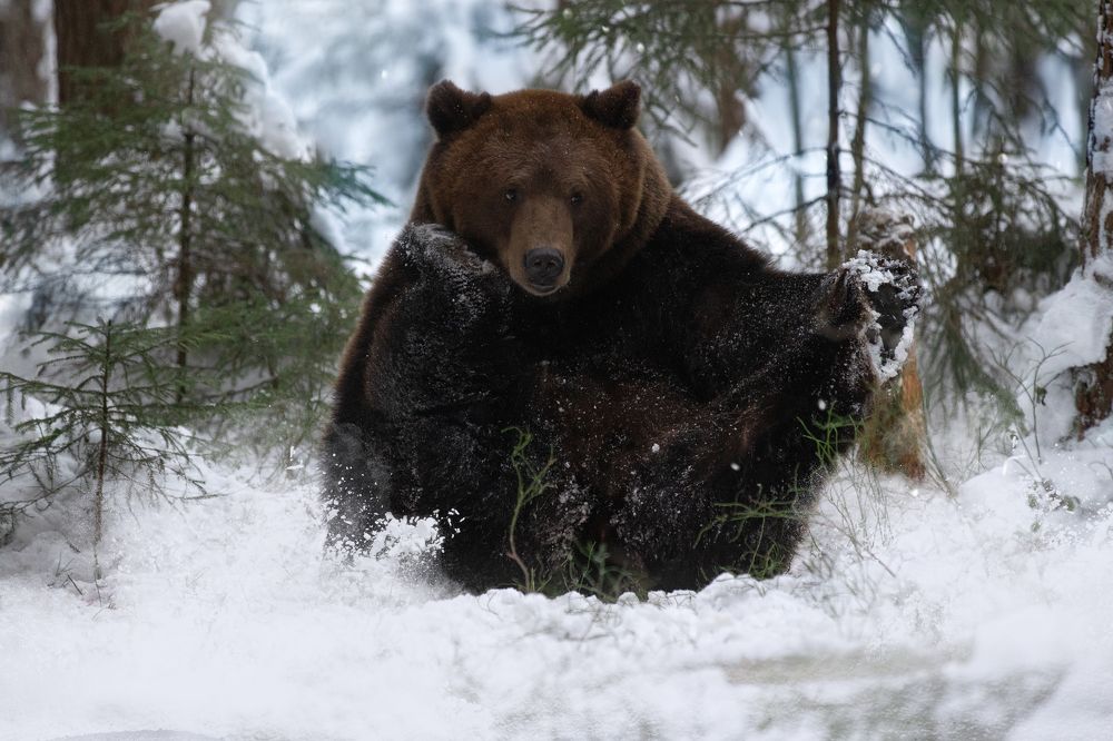 Photograph by Светлана Писарева