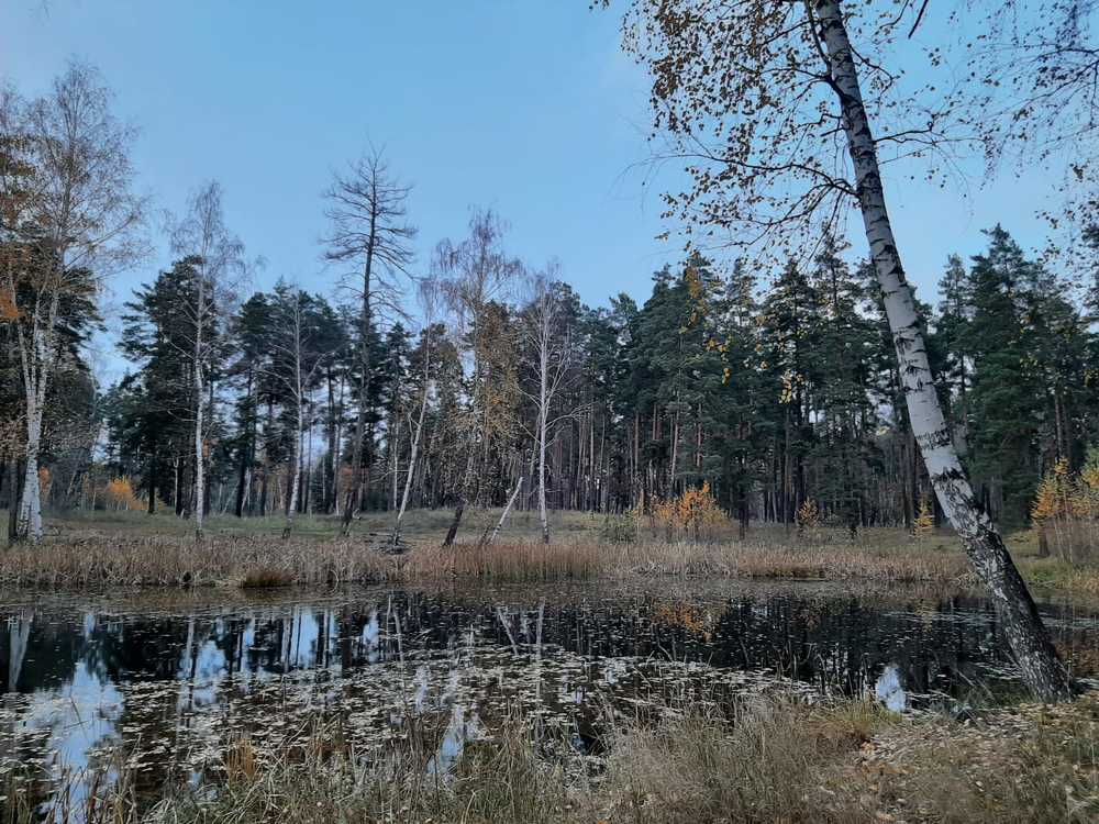 Photograph by Наталья Конюхова