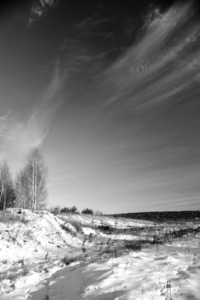 Photograph by Aleksander Perevolotsky