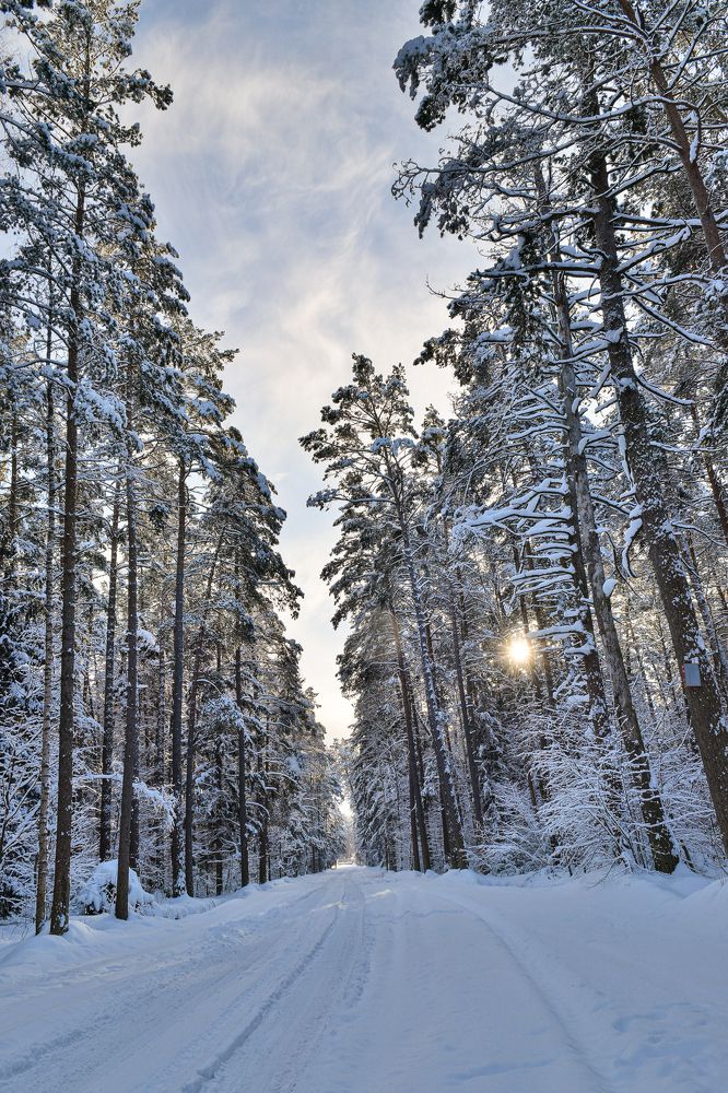 Photograph by Aleksander Perevolotsky