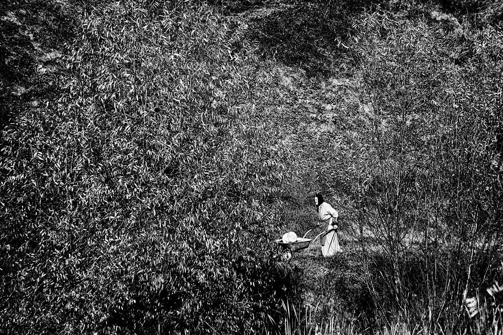 Послушница