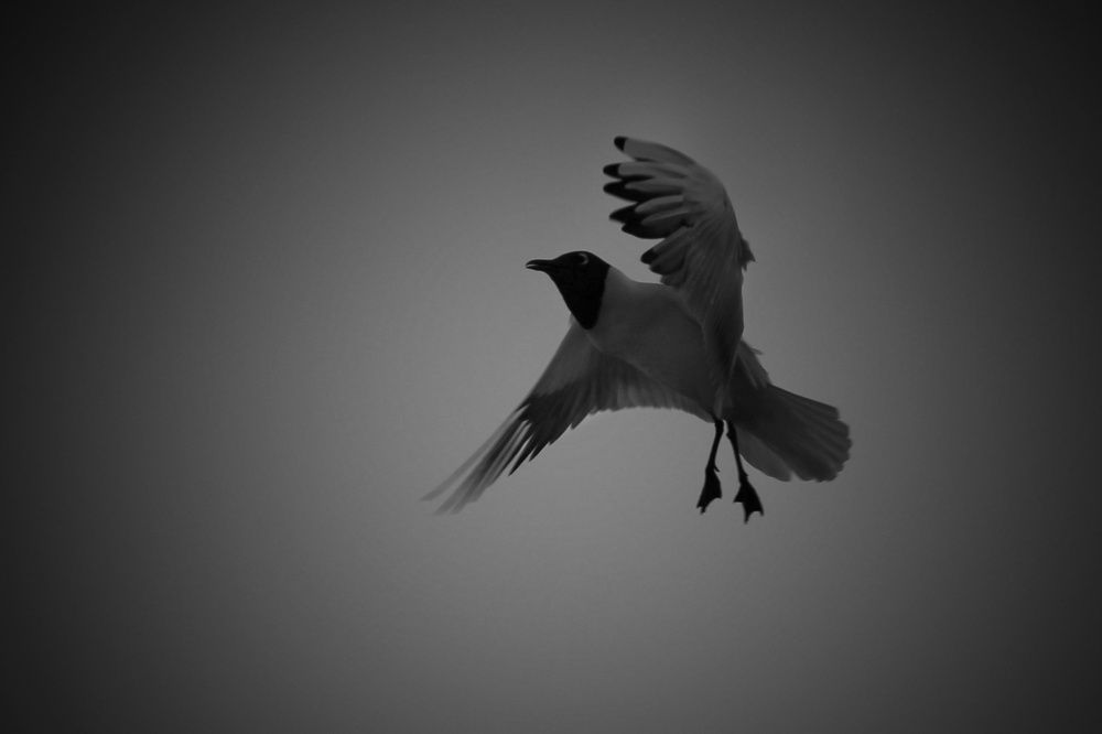 Photograph by Инна Карасева