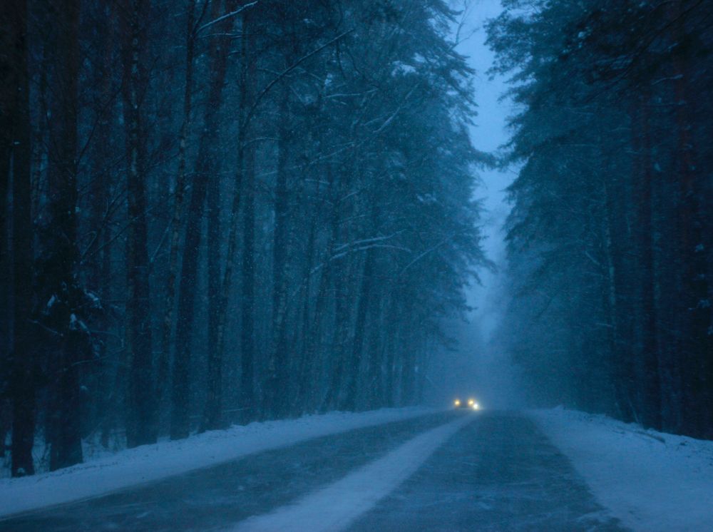 Во время метели