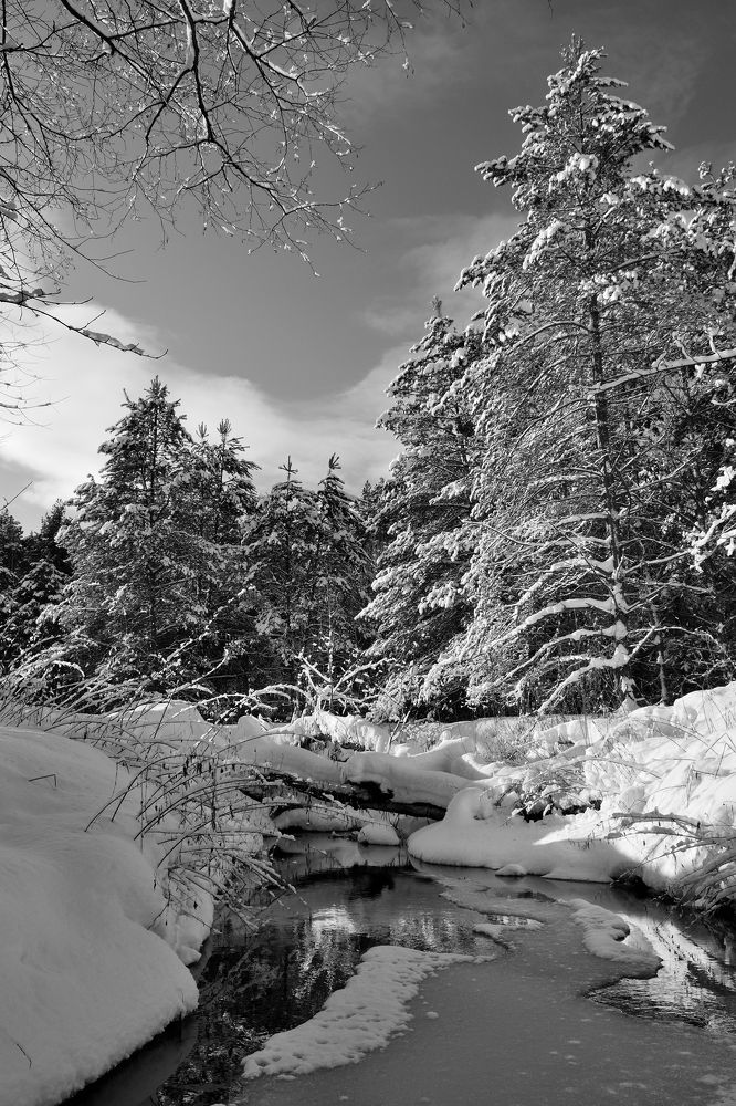 Photograph by Aleksander Perevolotsky