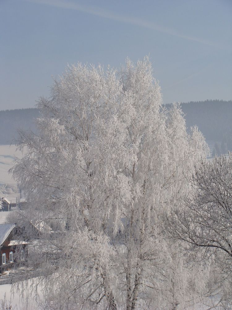 Photograph by Николай Худяков