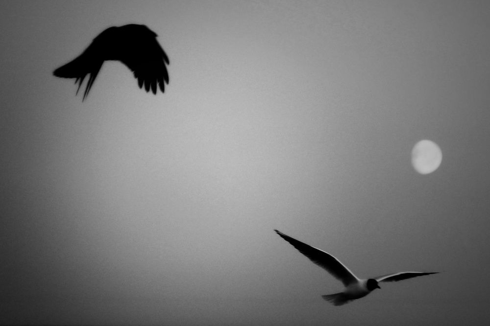 Photograph by Инна Карасева