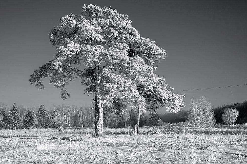 Photograph by Воинков Виктор