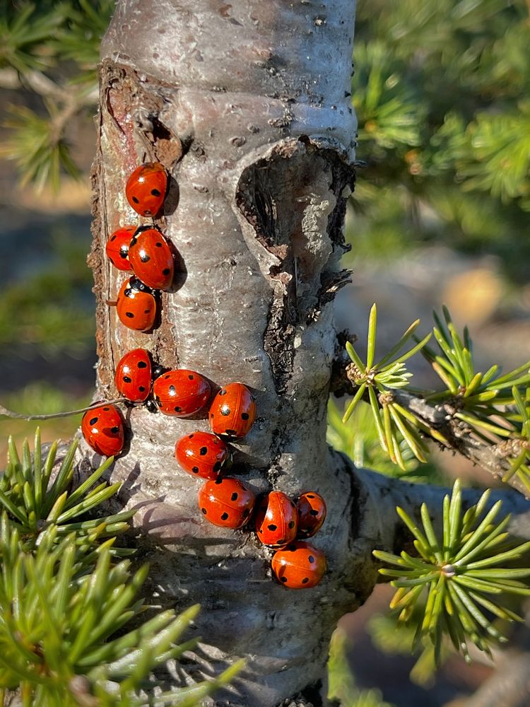 Photograph by Наталья Валевская