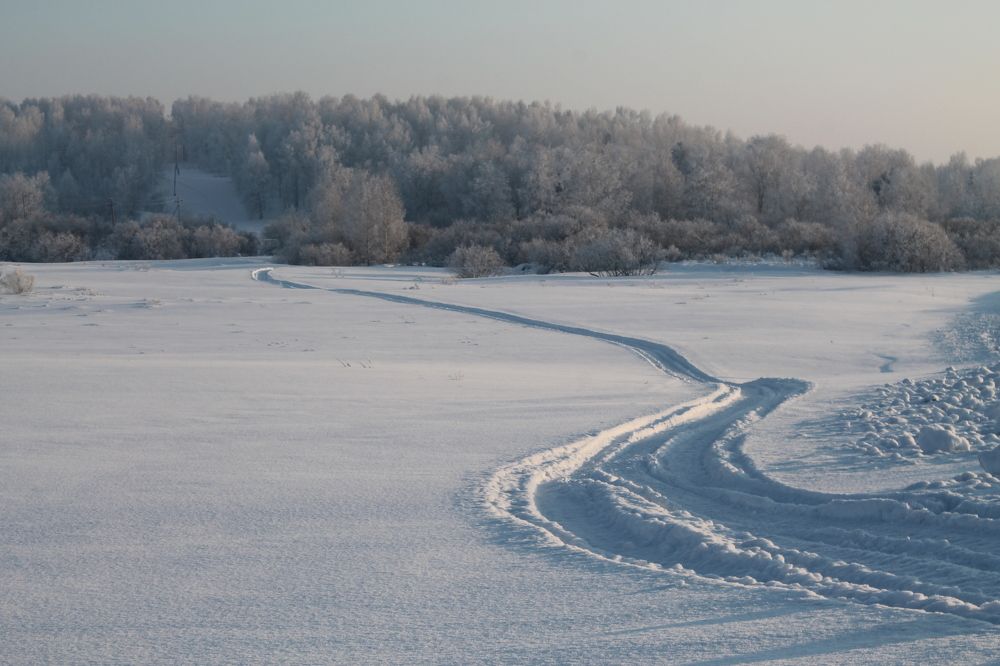 Photograph by Анна Горбунова