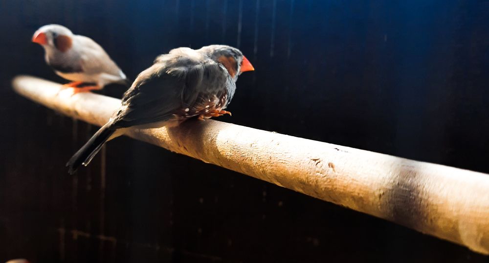 Photograph by Praveen kumar Sampath