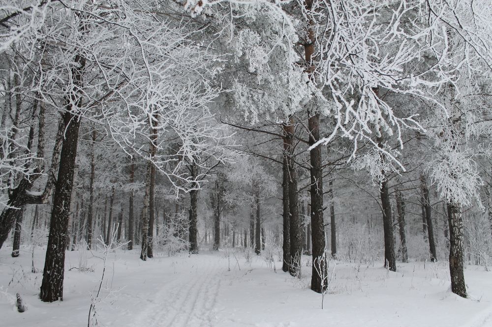 Photograph by Анна Горбунова