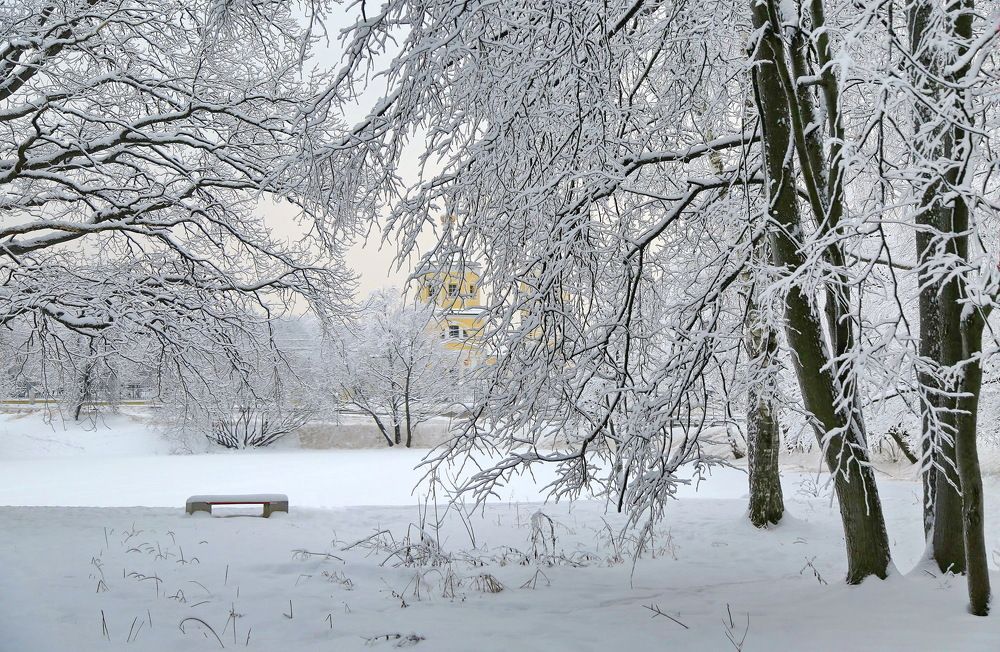 Photograph by Наталья Задерновская