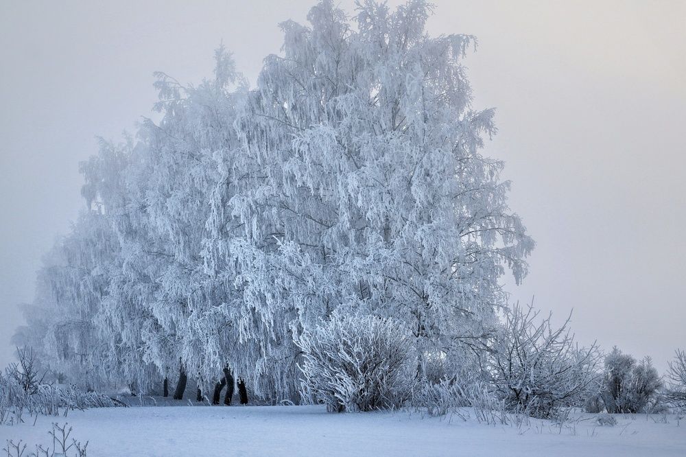 Photograph by Инна Карасева