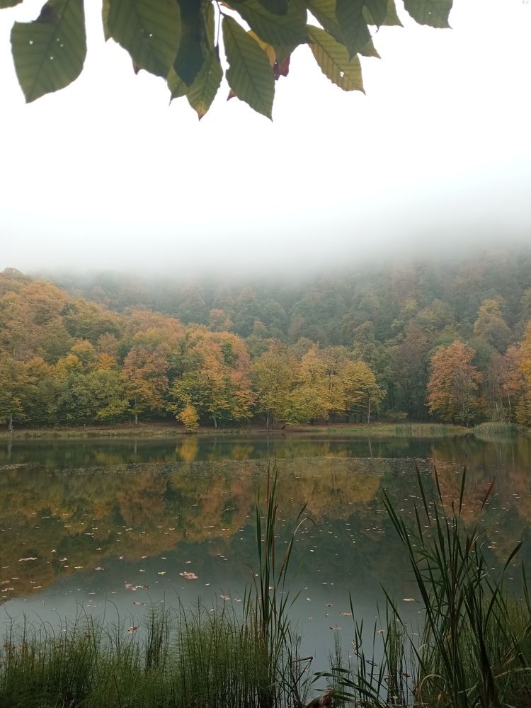 Photograph by Lianna