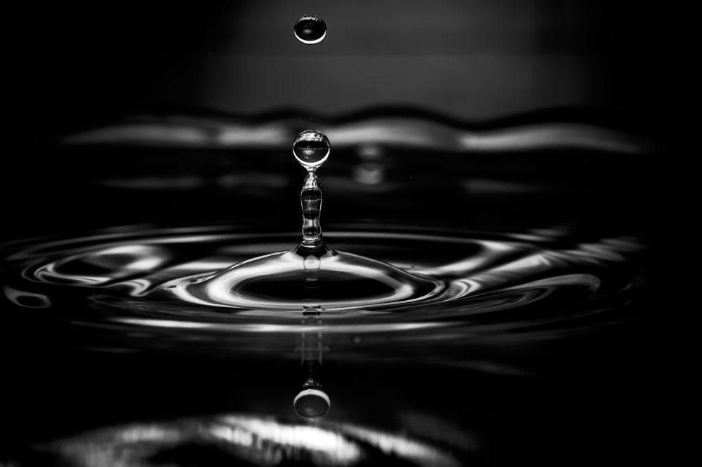 Photograph by NeCoTi ChonTin