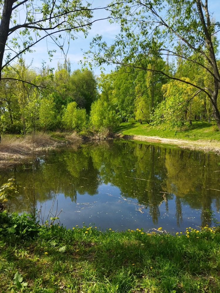 Photograph by Наталья Конюхова