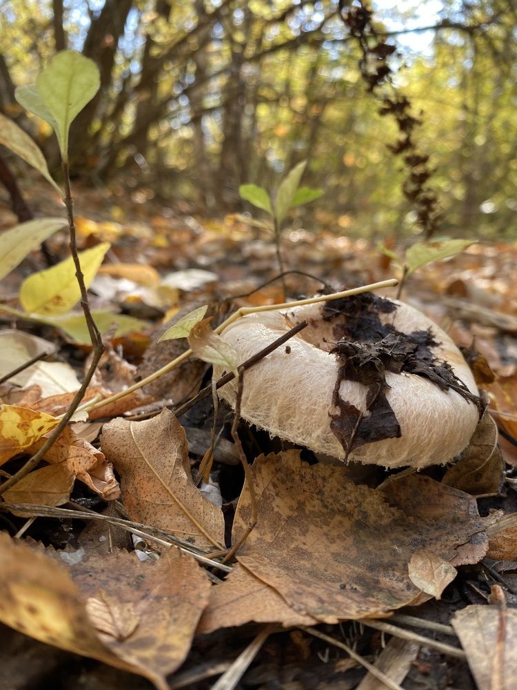 Photograph by Aлександра Чаплыгина