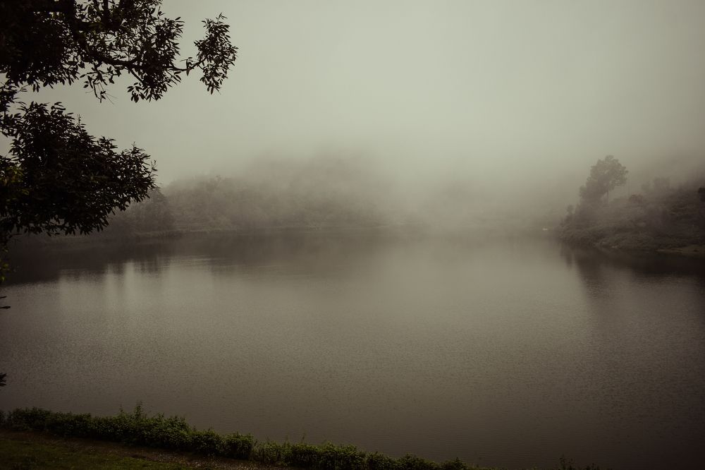 Photograph by Souradip Mukherjee