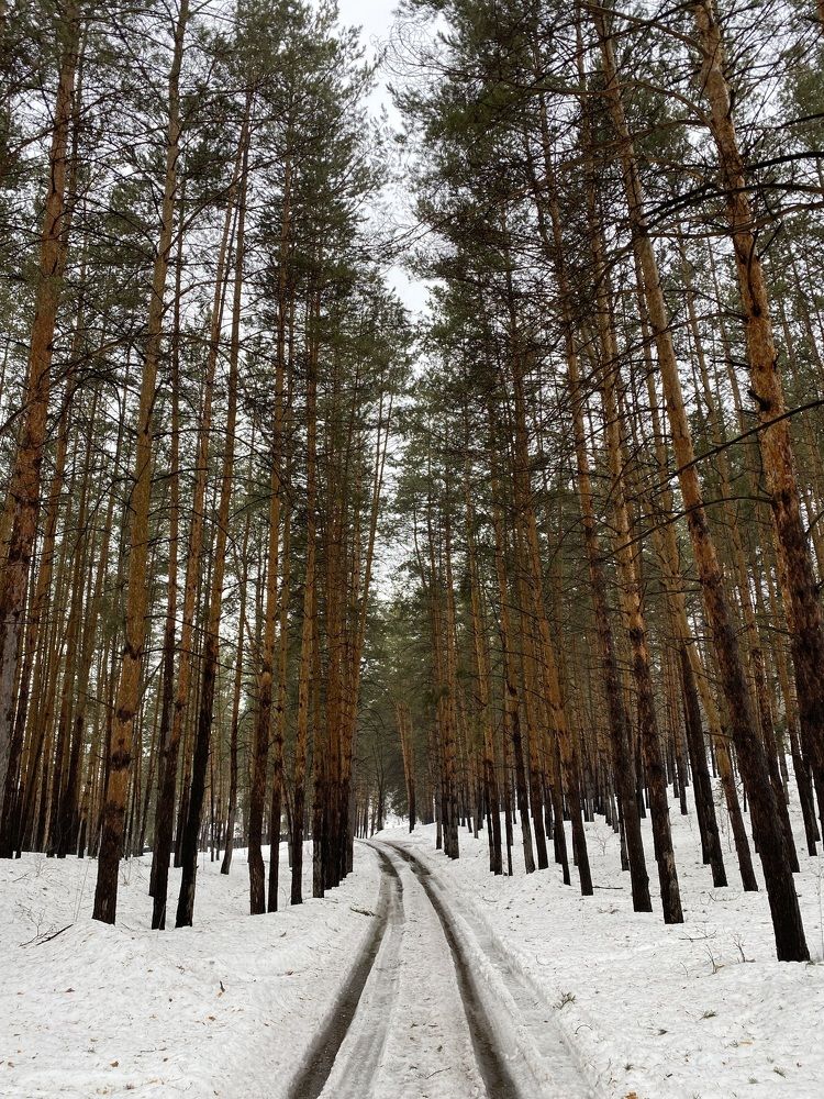 Photograph by Aлександра Чаплыгина