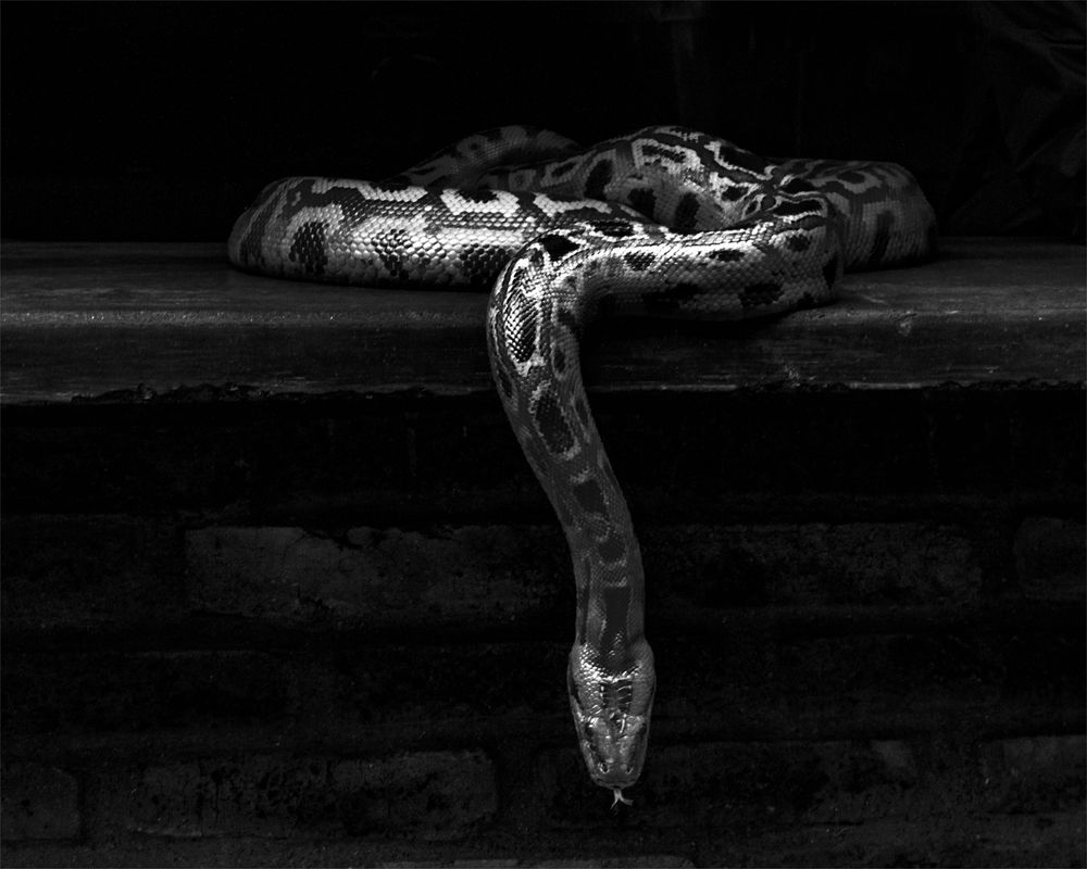 Photograph by Rodolfo Durán