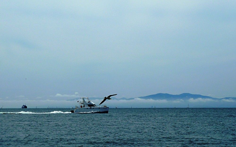 Фотография автора Марина Горбулина