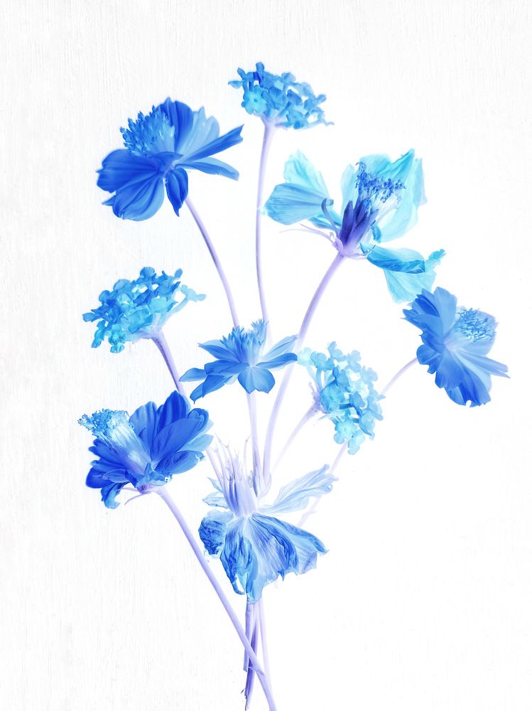 Photograph by Марина Танаева