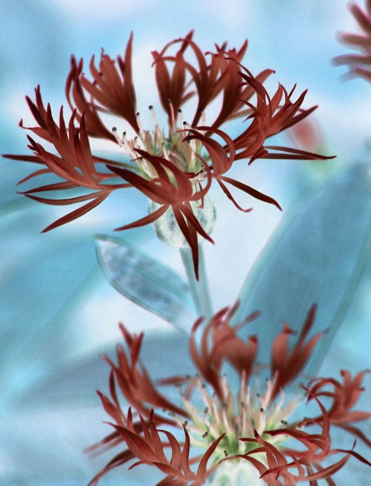 Photograph by Баженова Наталья