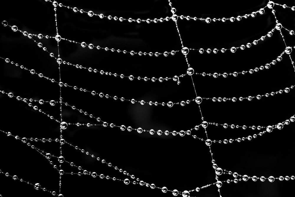 Фотография автора NeCoTi ChonTin