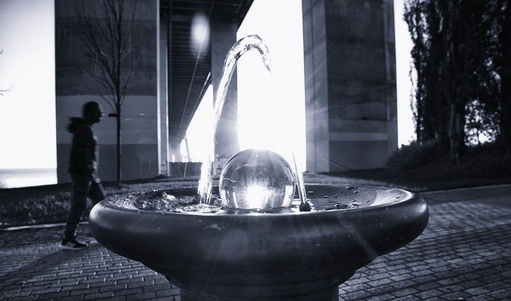 Photograph by Mário C.