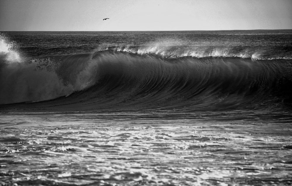 Photograph by Mário C.