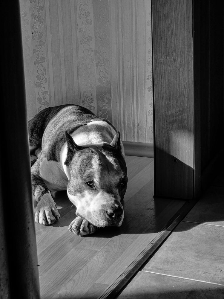 Photograph by Юлия Терентьева