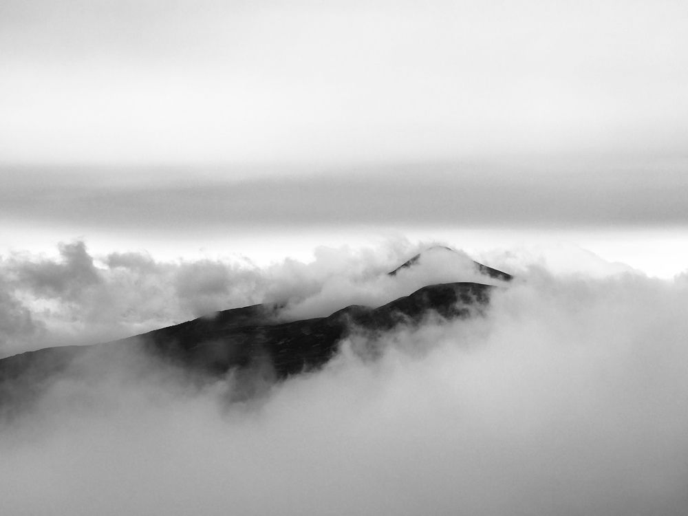 Photograph by Andrew