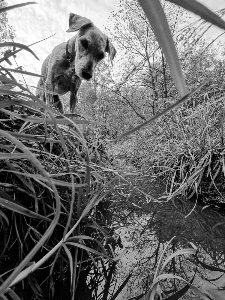 Photograph by Юлия Терентьева