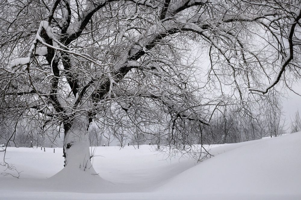 Photograph by Инна Карасева