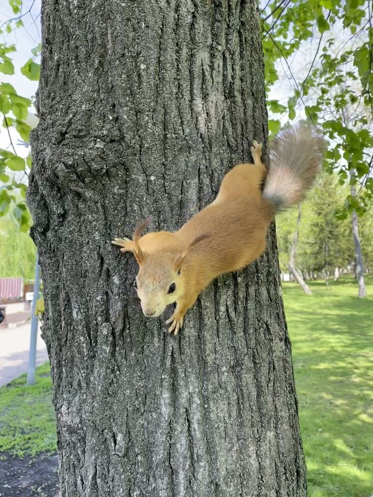 Photograph by Aлександра Чаплыгина