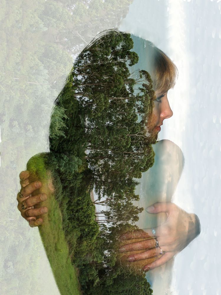 Имя у каждого дерева есть