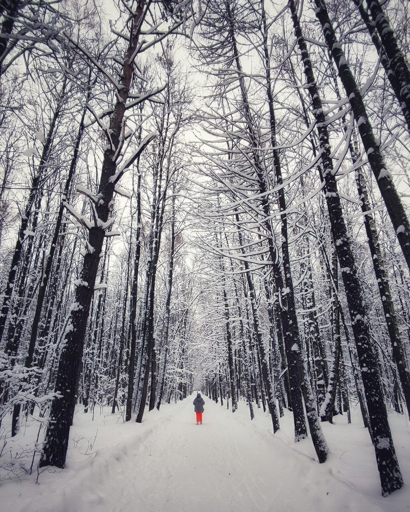 Photograph by Павел