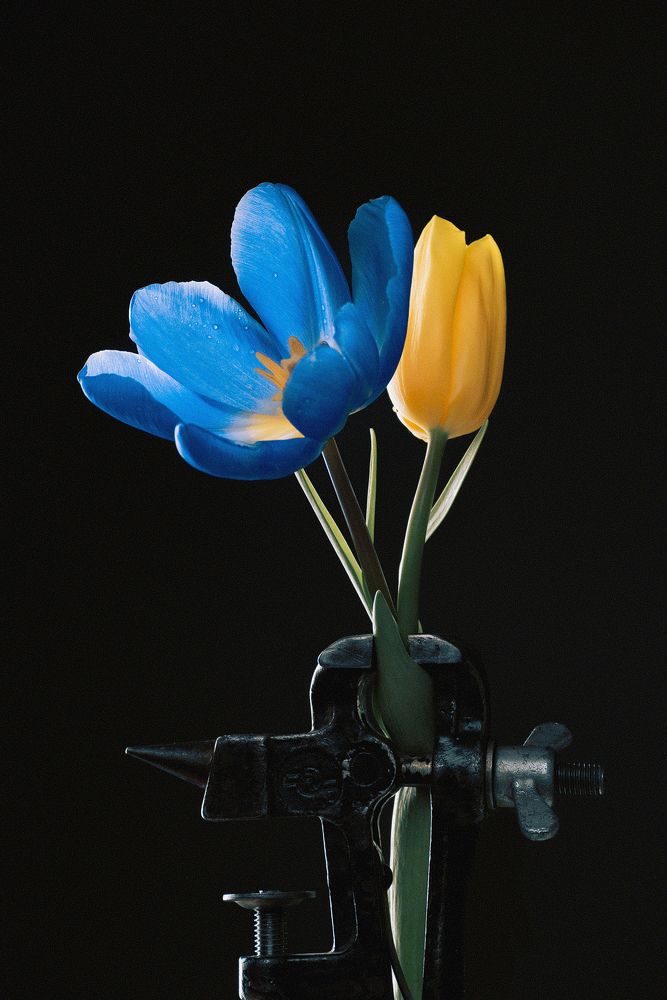 Photograph by Боровой Андрей