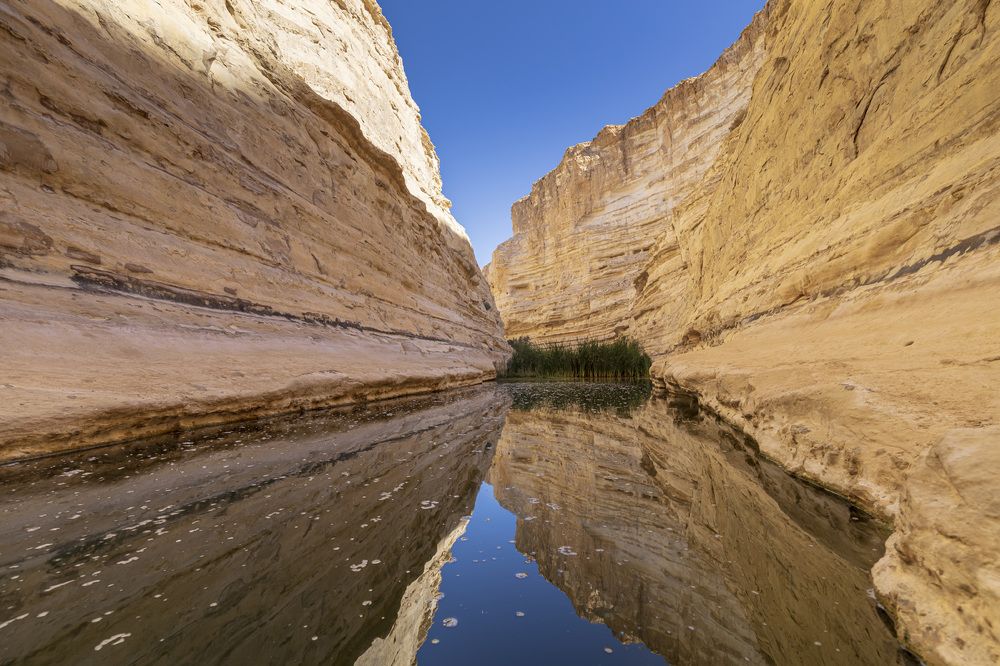 Фотография автора Nikolay Tatarchuk