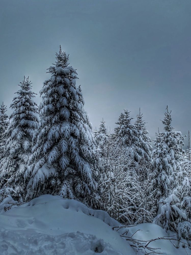 Photograph by Alexander Siemens